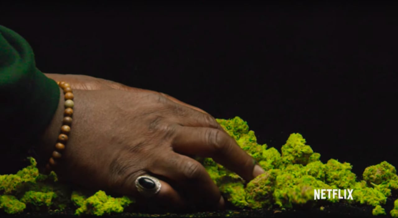 Netflix Weed Doc Grass Is Greener Gets A Trailer F Snoop Dogg