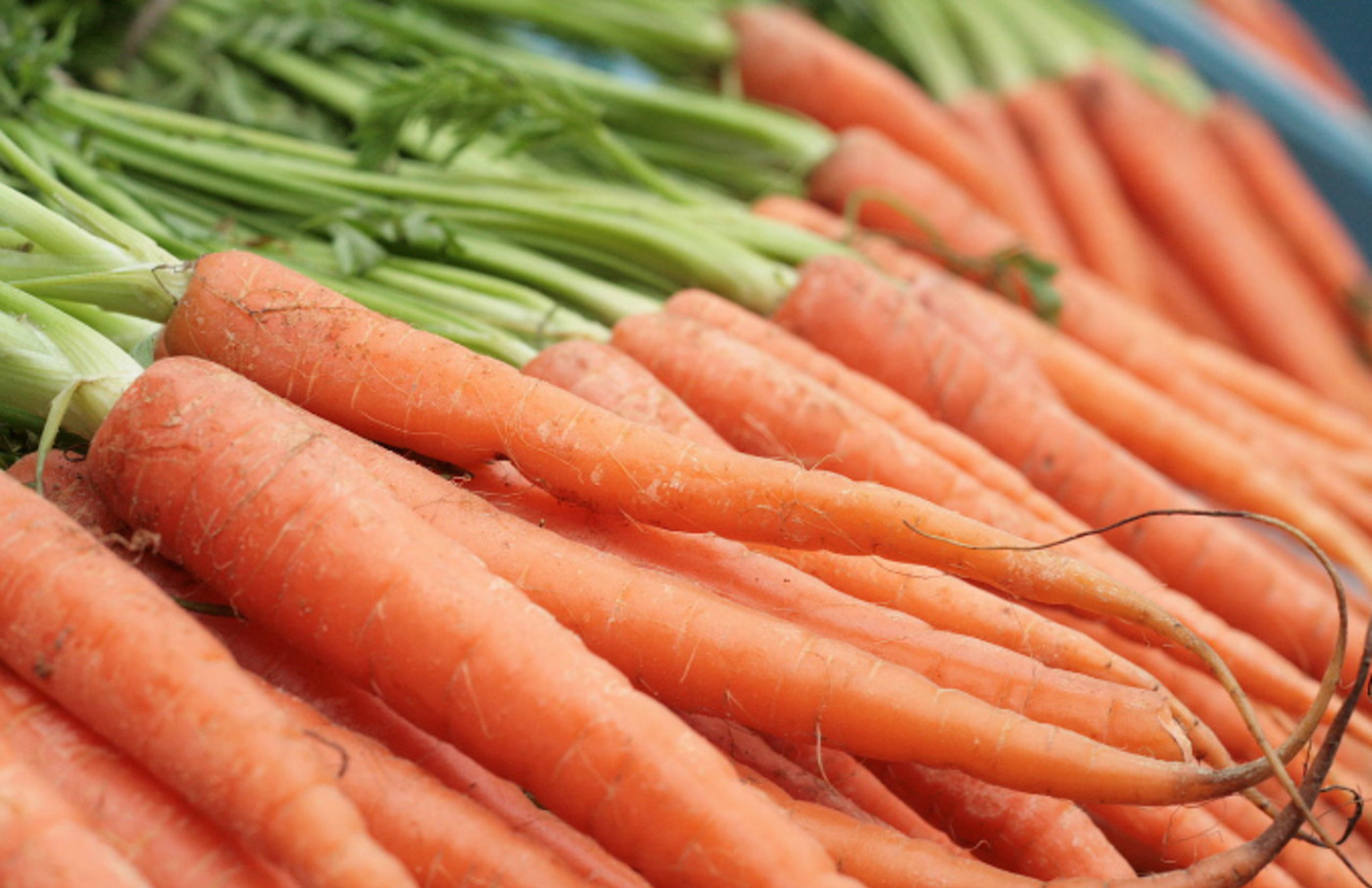 Smuggled Weed Worth Half a Million Dollars Discovered Inside Fake