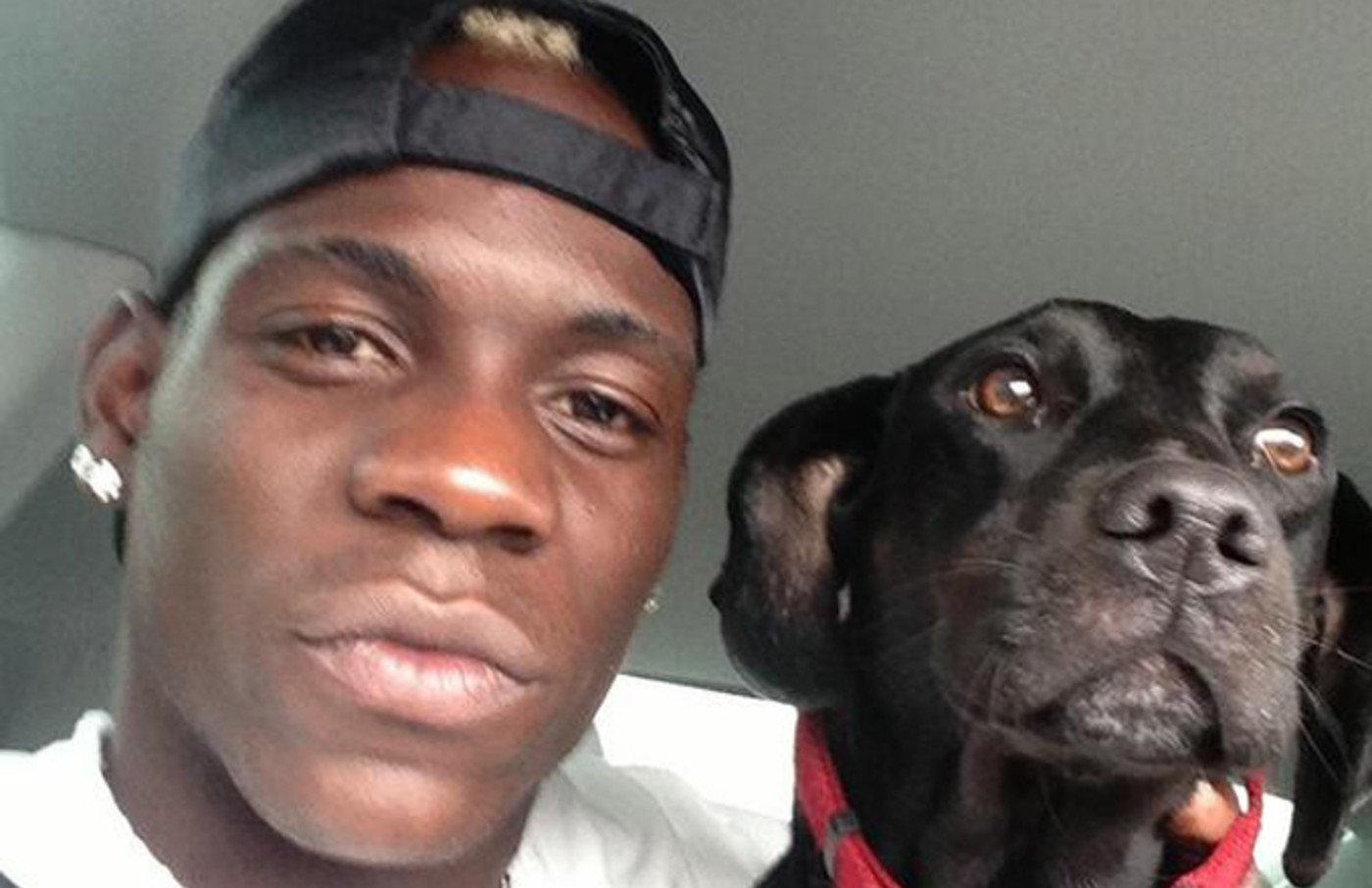 Mario Balotelli Has Donated a Five-Figure Sum to the Dogs ...