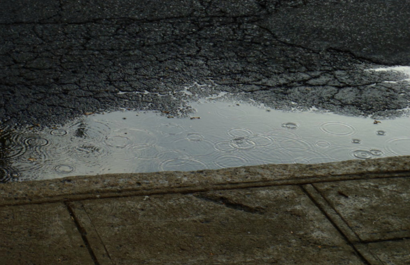 DrummondPuddleWatch Is Exactly What You Think Thousands of People