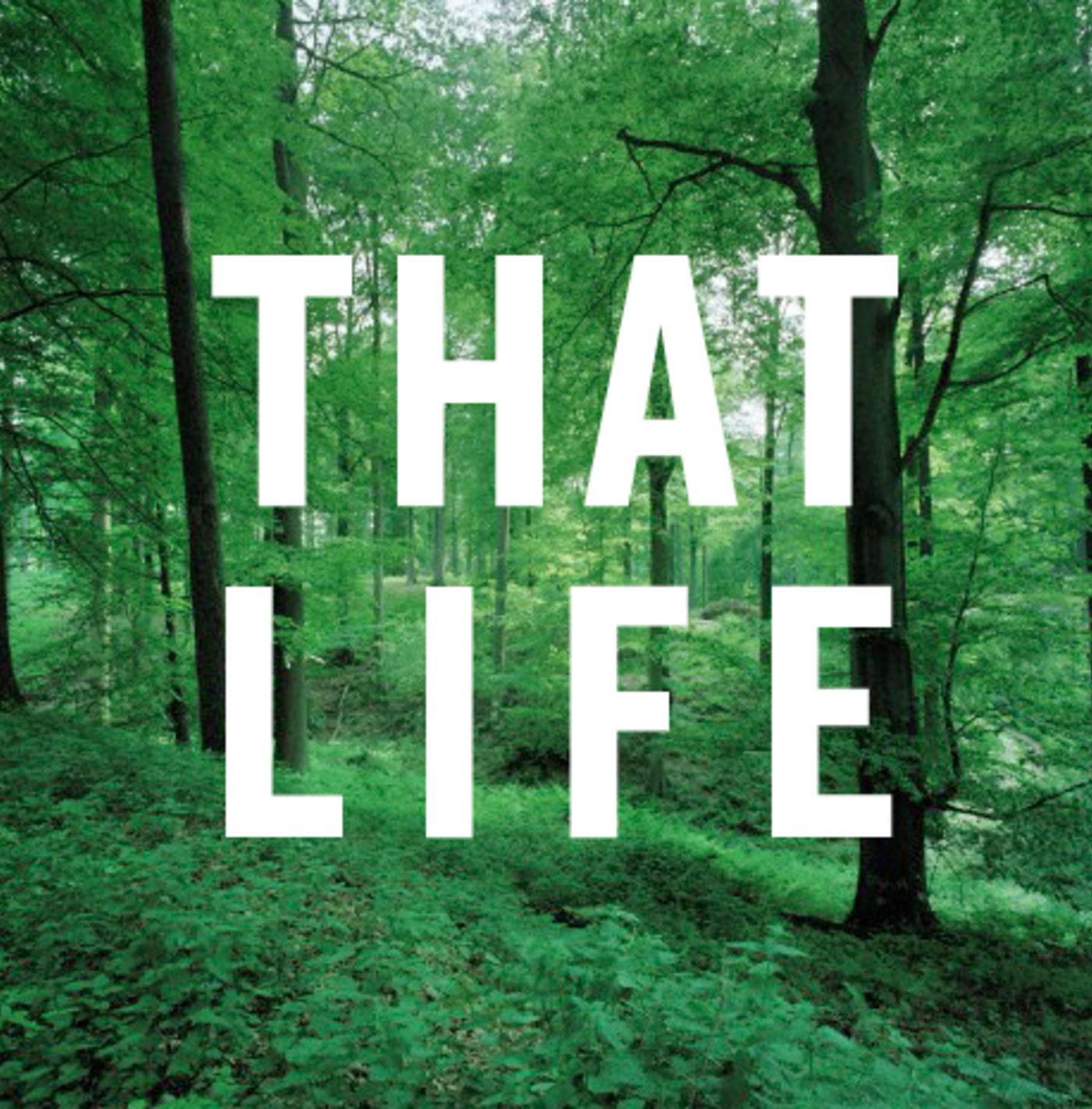 Menswear Slang Returns To Its Natural Habitat Complex