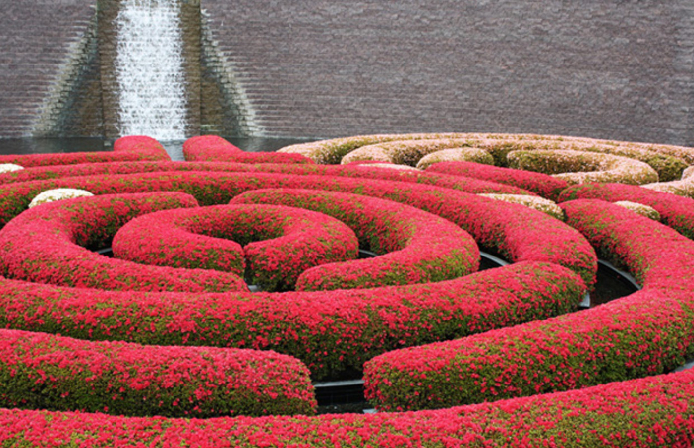 30 Amazing Mazes Worldwide Complex