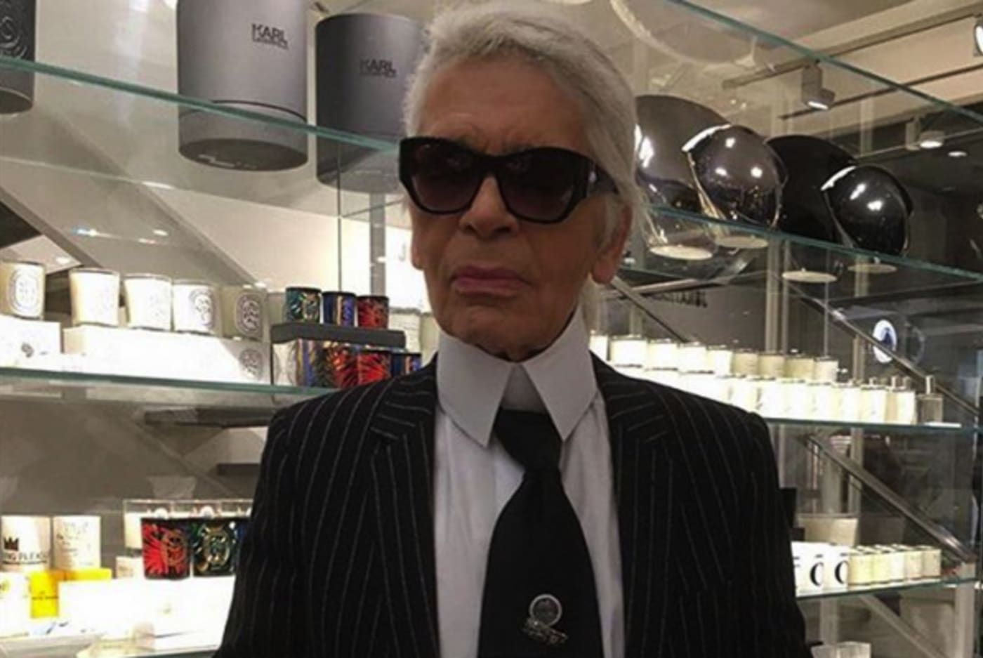 bevestigen Beenmerg mini Karl Lagerfeld Is Planning a Special Collection Only for the Internet |  Complex