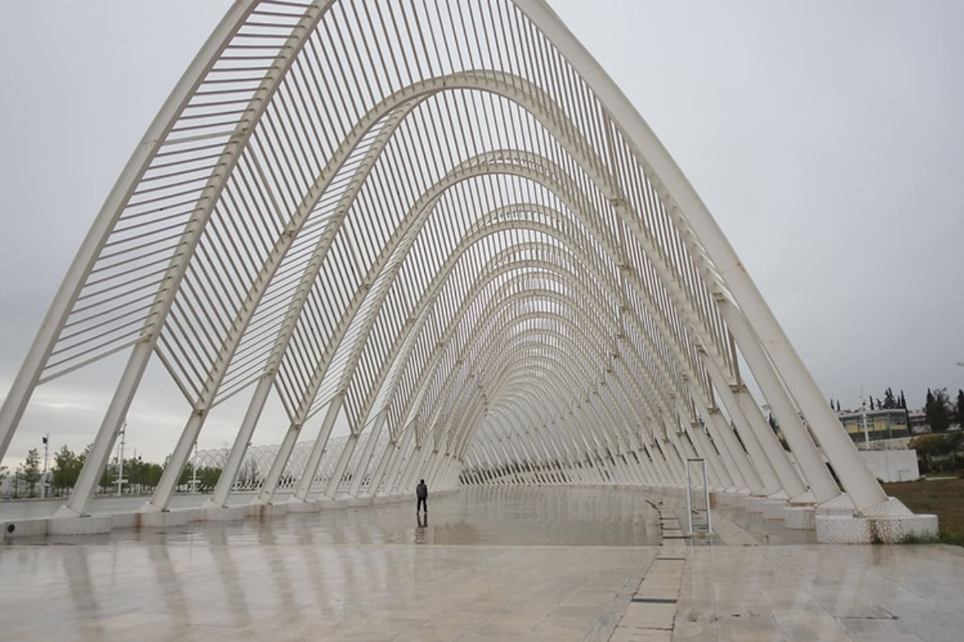 Taking a Look at Olympic Structures Complex