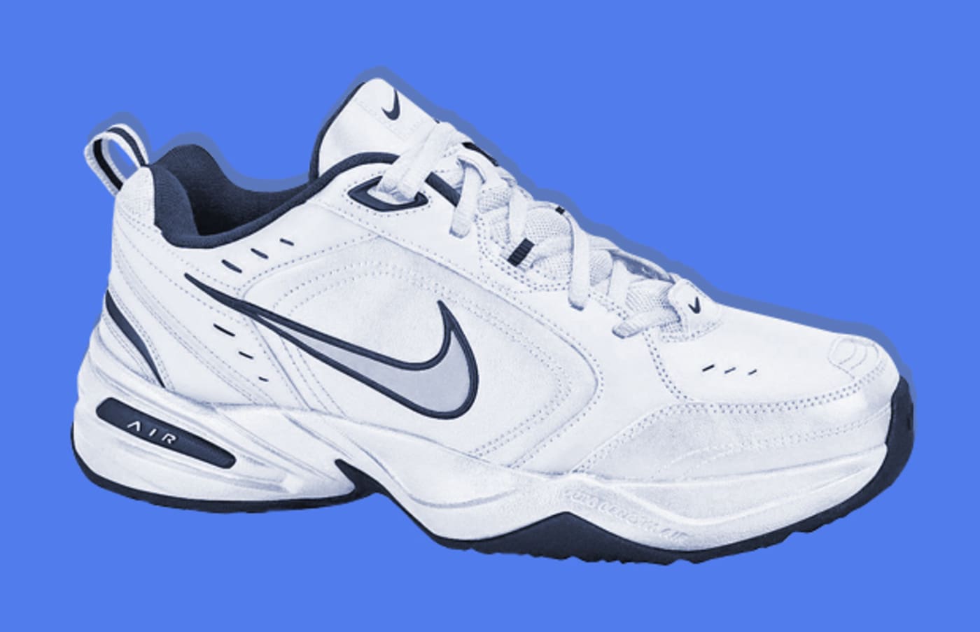 10 Reasons You Should Own Nike Air Monarchs Complex