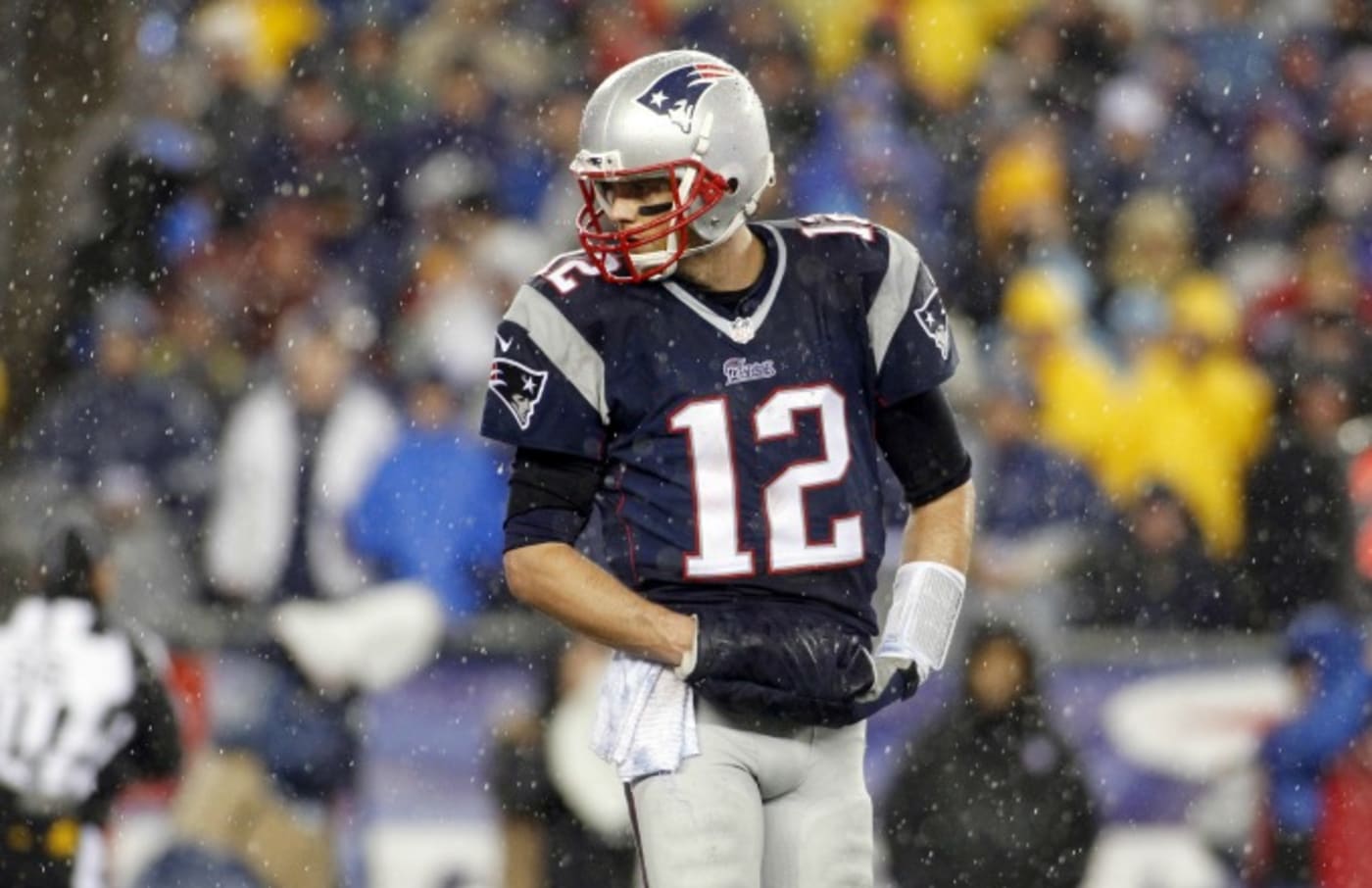 Who Will Win Super Bowl XLIX? Complex