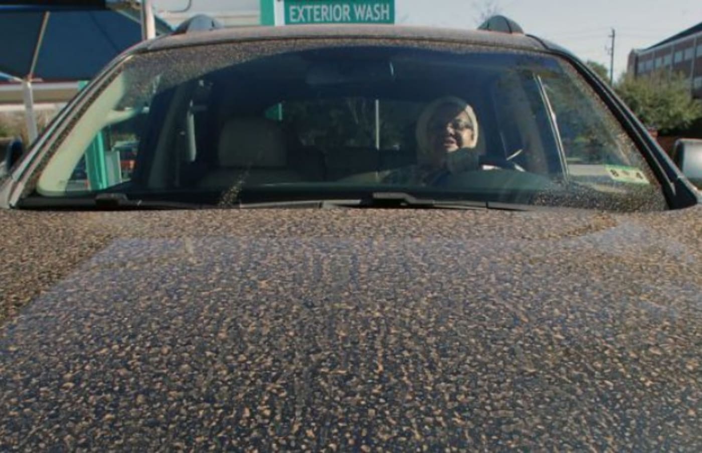 A Mysterious Dust Made Cars in Houston Look Like Crap Last Weekend