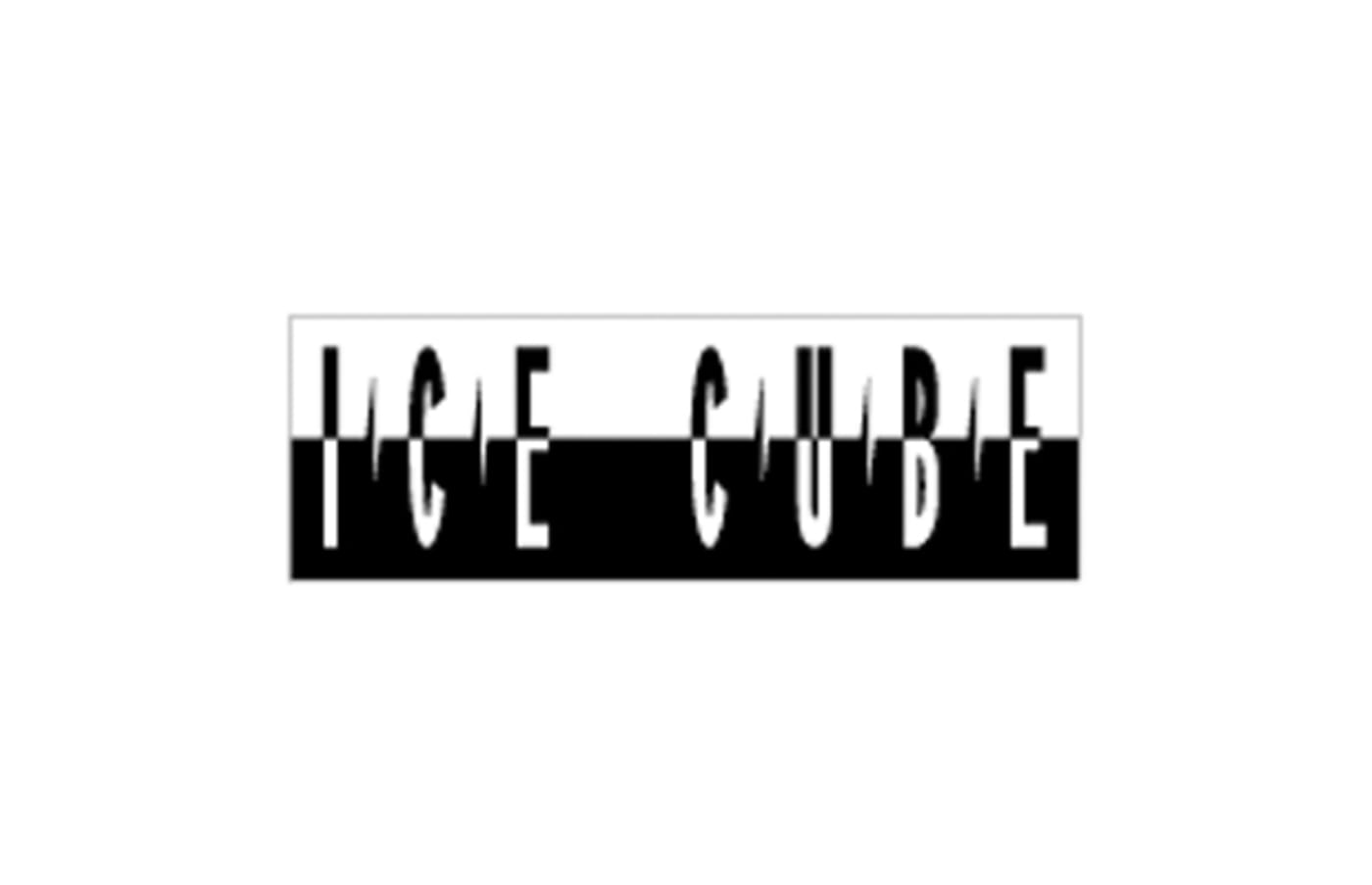 The 50 Greatest Rap Logos | Complex