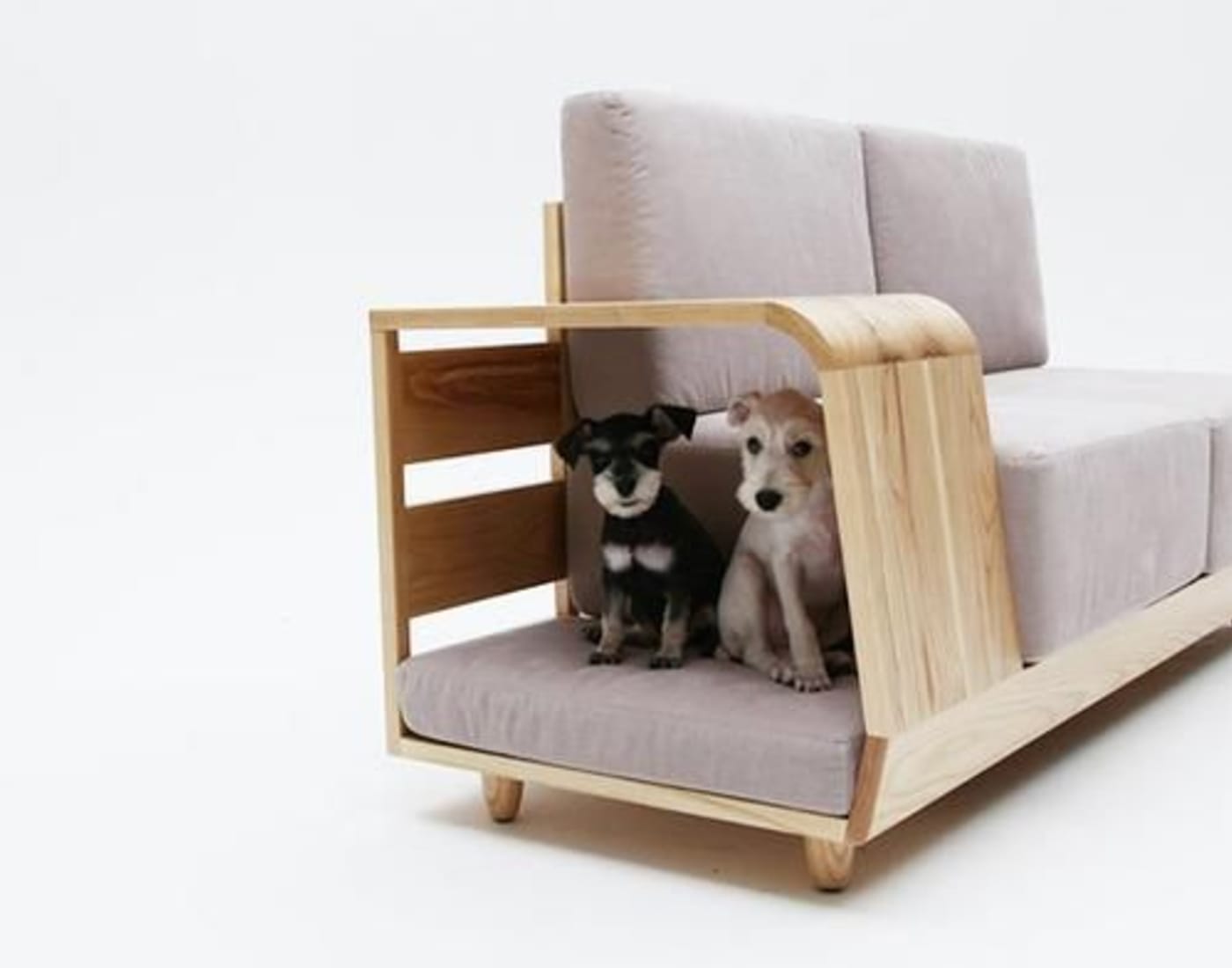 The Dog House Sofa Gives Your Pet a Home in Your Furniture Complex