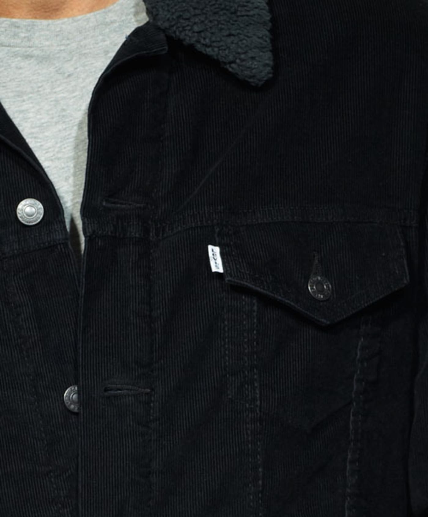 Artificial Sherpas Complex