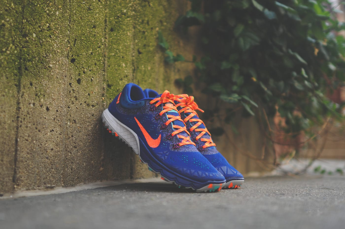 terra tiger nike