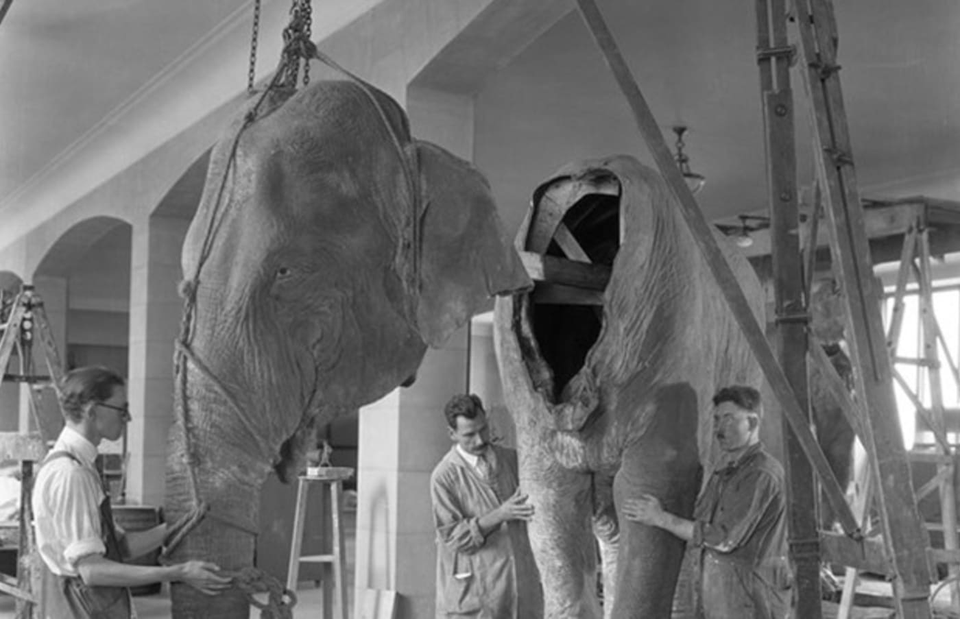 Photos Reveal Behind The Scenes At The American Museum Of Natural