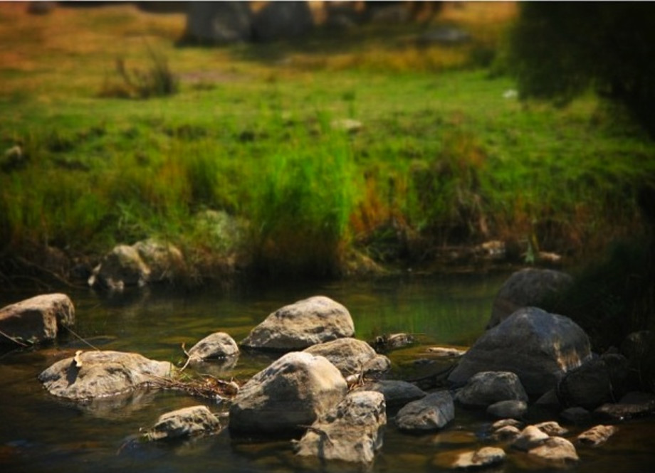 tiltshift photography