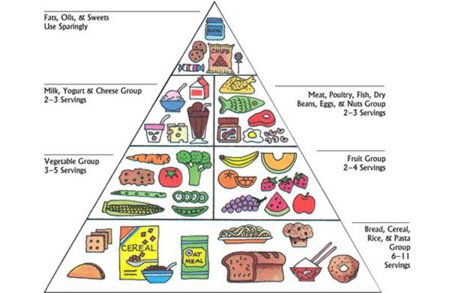 The USDA Replaces "Food Pyramid" With "Food Plate"  Complex