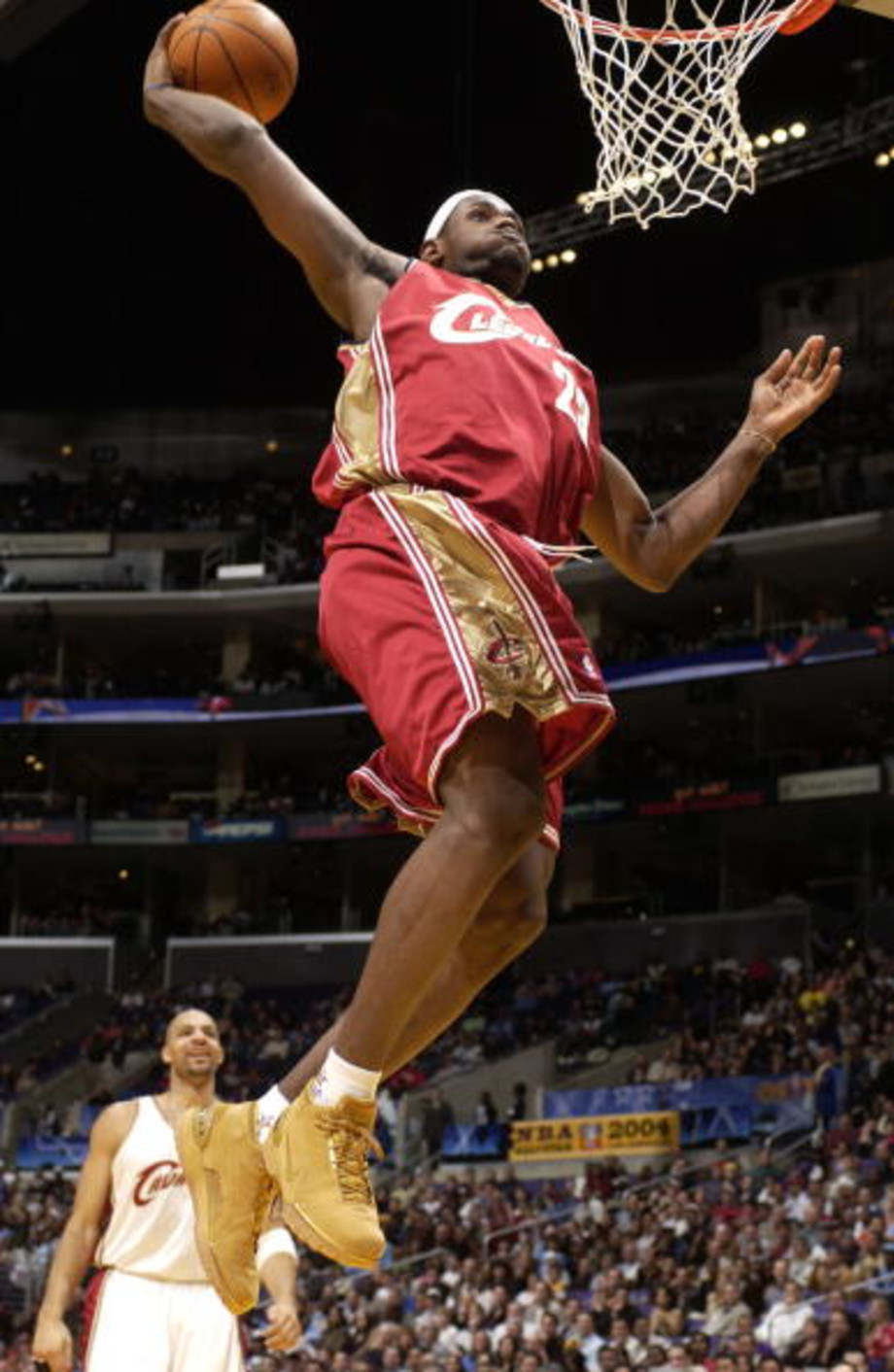 lebron wheat zoom generation