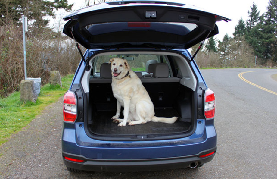 The Best Cars For Dog Lovers Complex