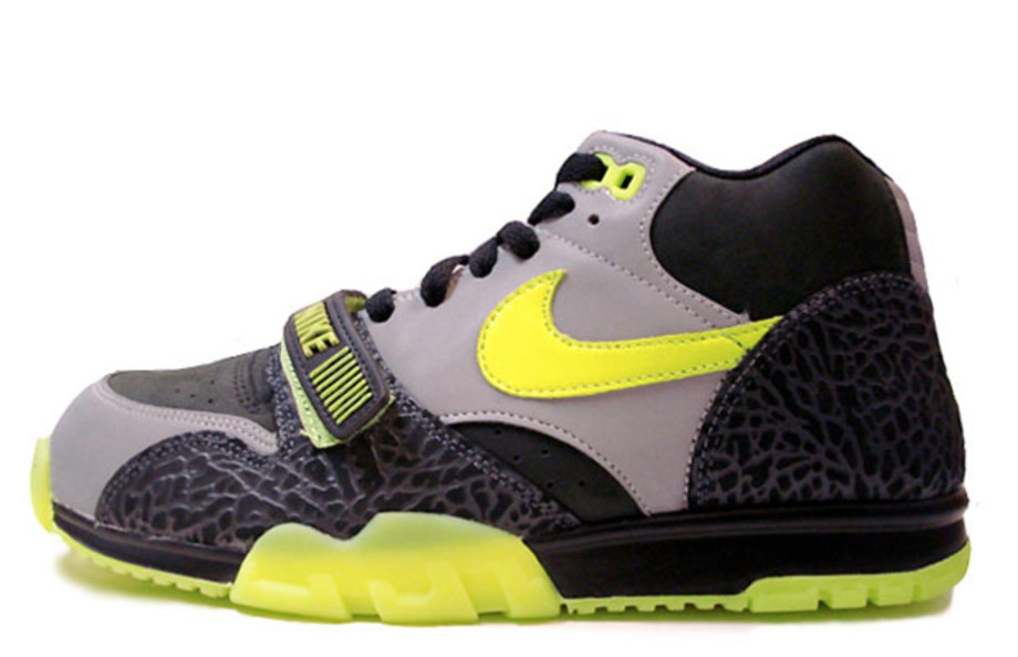 best nike trainer