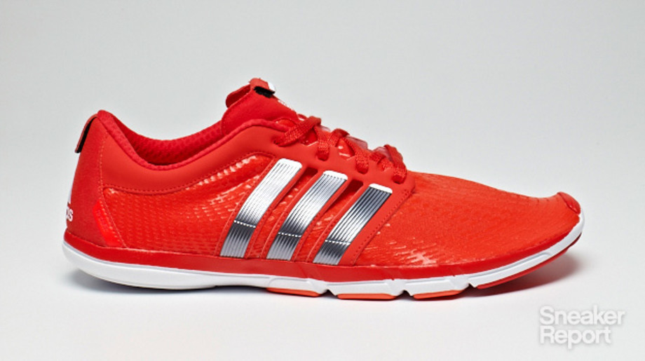 adipure gazelle