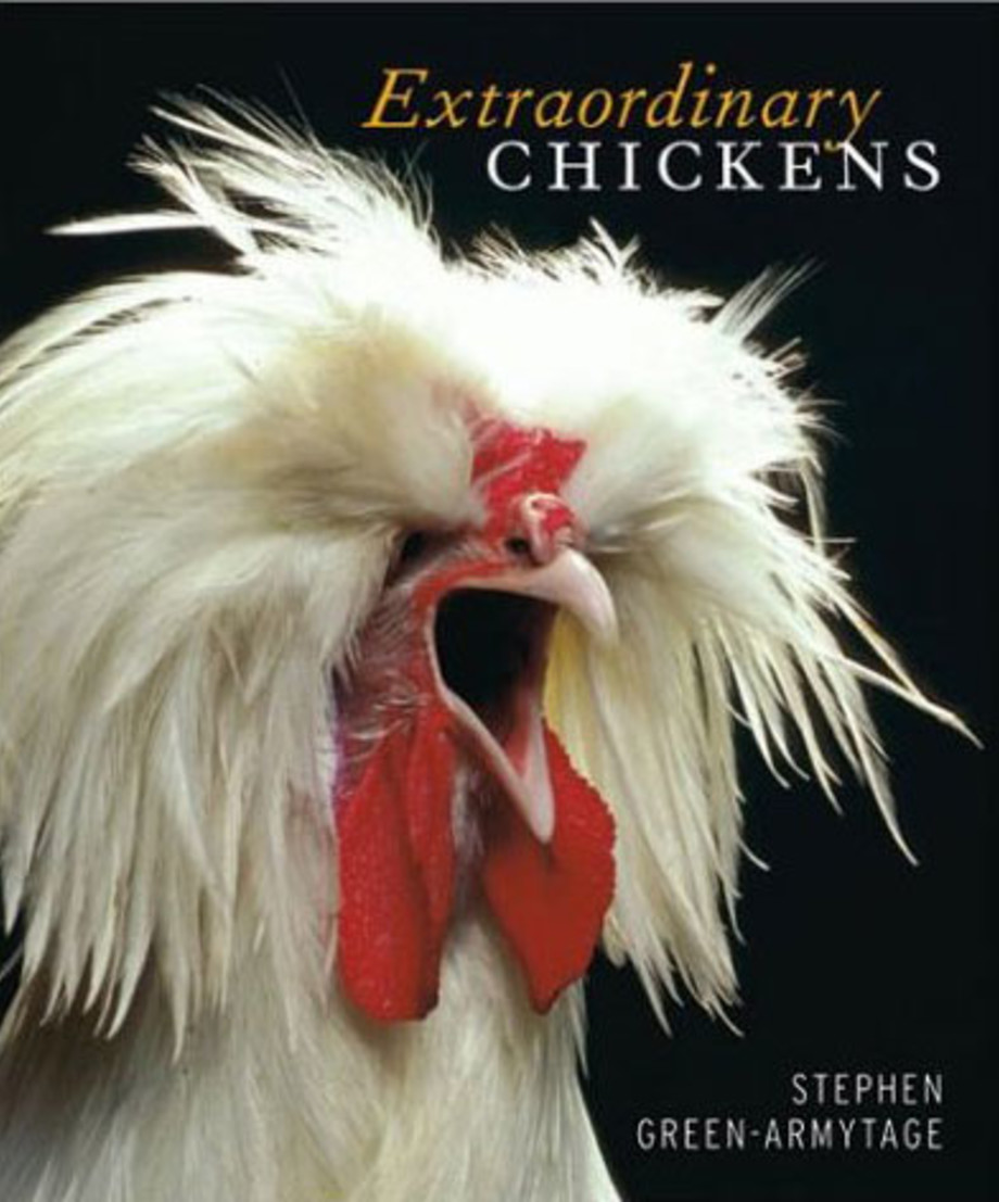 25 Ridiculous Coffee Table Books Complex