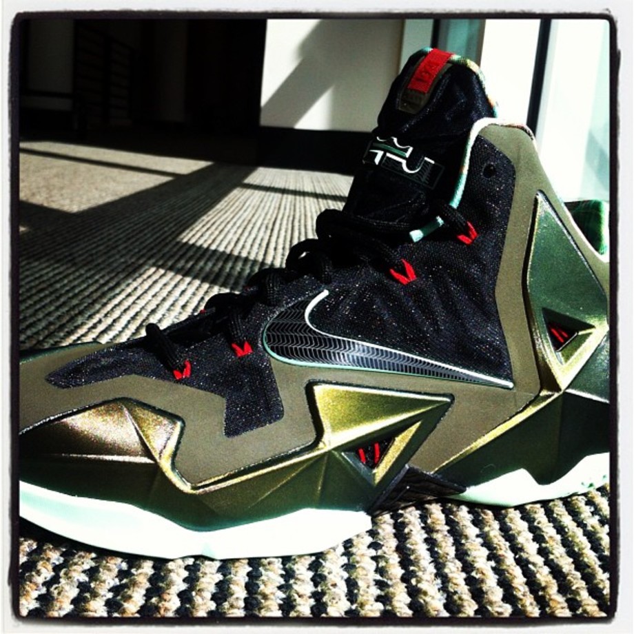olympic lebron 10
