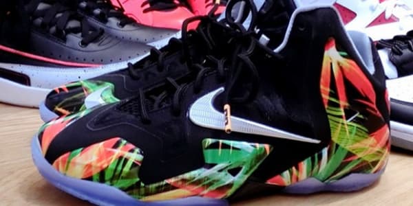 lebron 10 kings pride