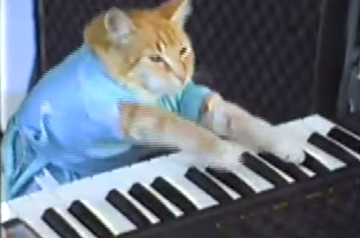 ‘Keyboard Cat’, One of YouTube’s First Stars, Just Released a New Song