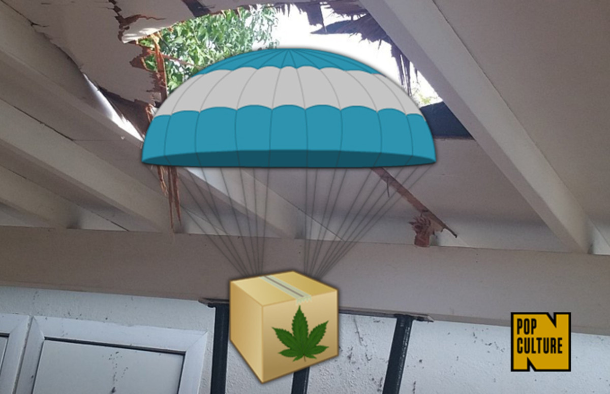 10,000 Worth of Weed Falls From Sky, Destroys Doghouse Complex