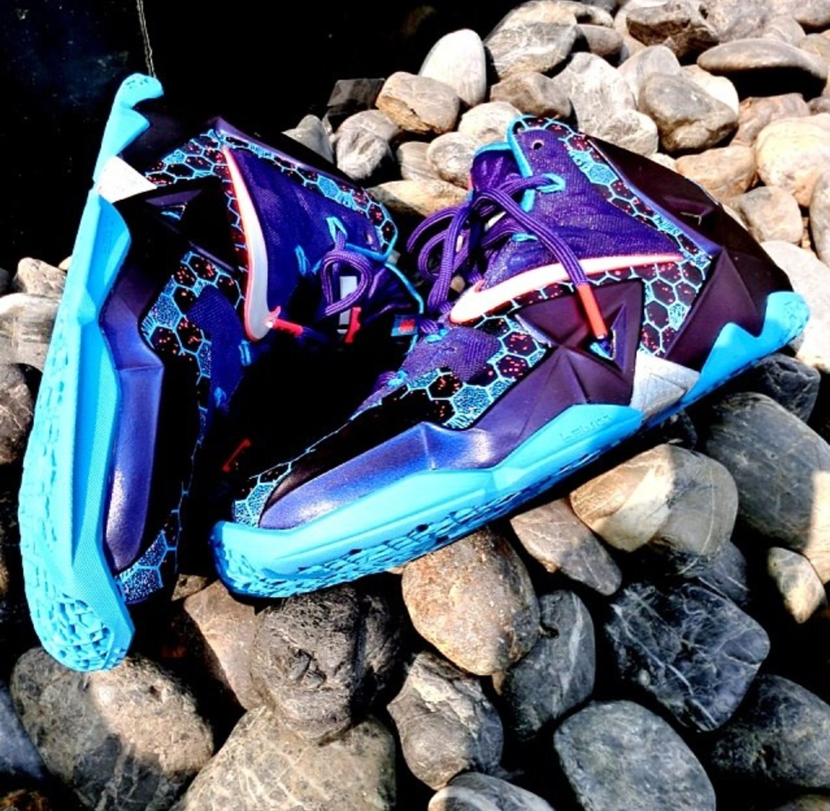 lebron 7 hornets