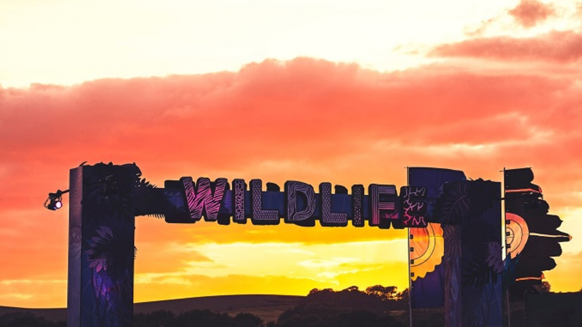 Here’s What To Expect At Wildlife! Festival In Brighton This Weekend