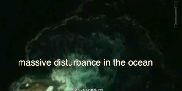 Sea Monster or Nah? Conspiracy Theorists Swear They've ...