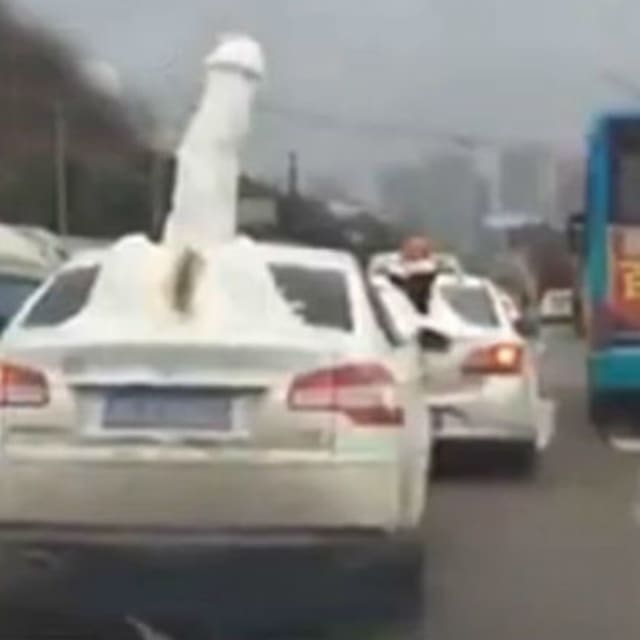 Car Spotted Carrying Snow Penis In China Complex