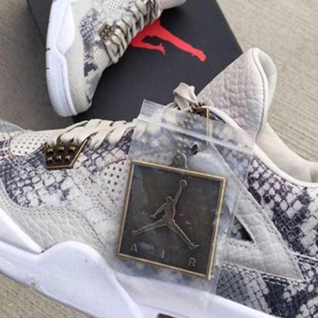 snakeskin air jordan