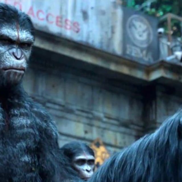 of the Apes" Went Ape Sh*t on the Box Office Complex