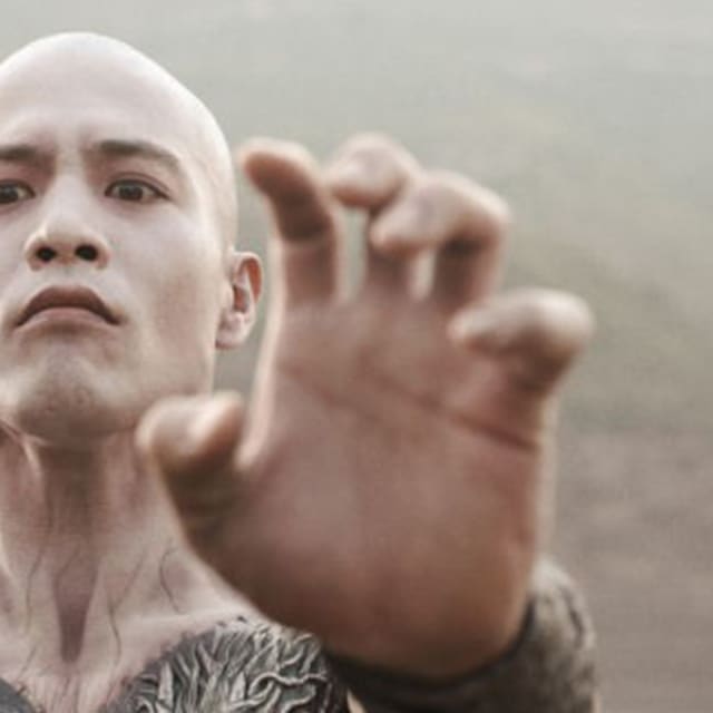 Five venom fists