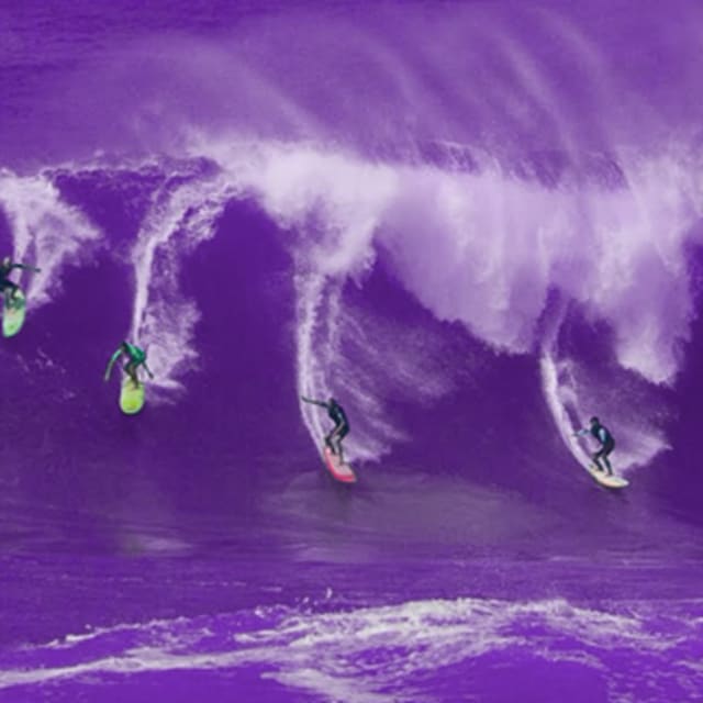 A Brief History of Surf Gangs and the Law Complex