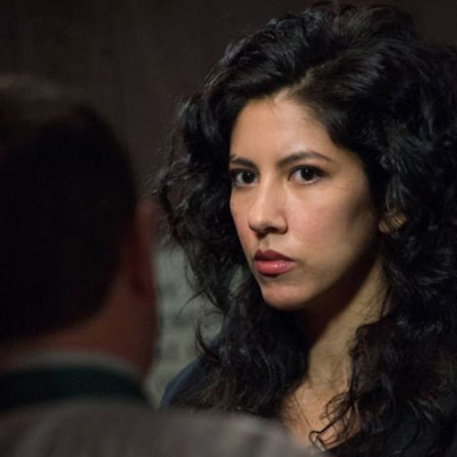 The Fear Boner Phenomenon Explaining the Appeal of Rosa Diaz on