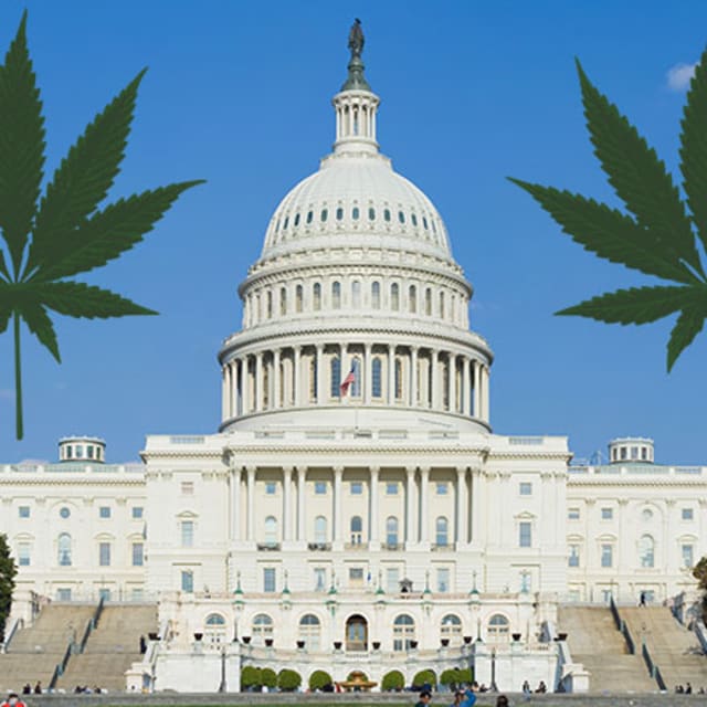 Five Rules You Need To Know About Legal Weed In Washington, D.C. Complex
