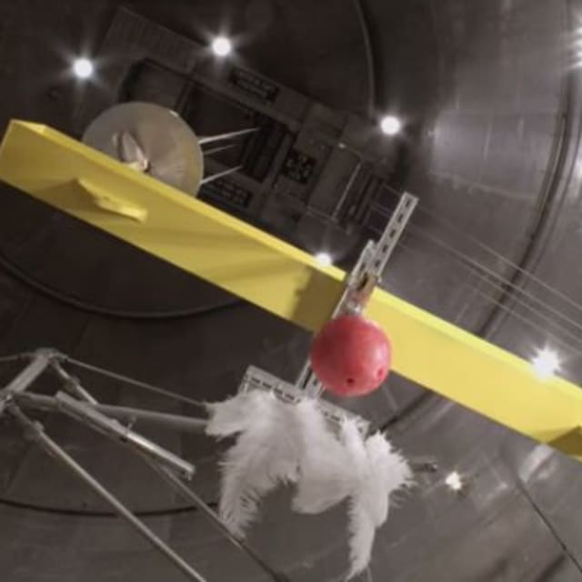 Scientist Actually Drops a Bowling Ball and Feather at the Same Time