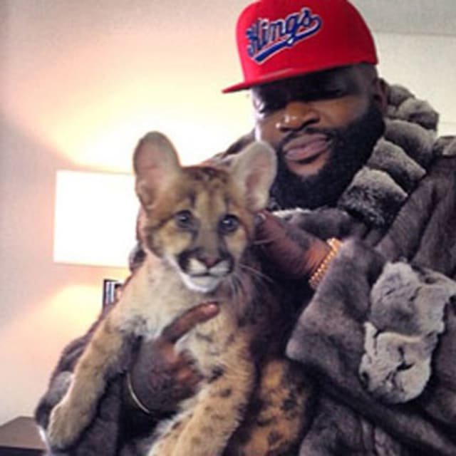 The 25 Best HipHop Instagram Pictures of the Week Complex