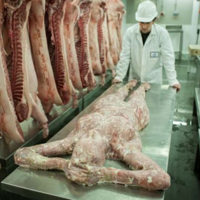 What To Donate Human Meat Project vrogue.co