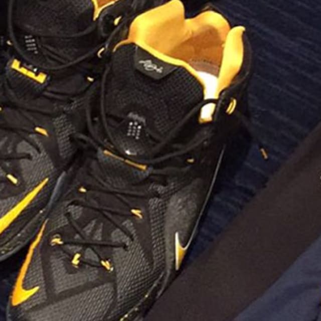 shoes lebron wore last night