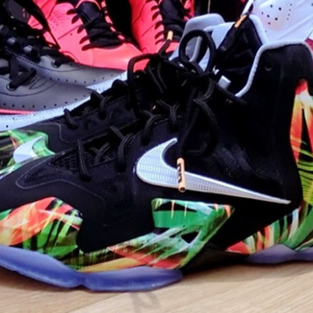 lebron 10 kings pride