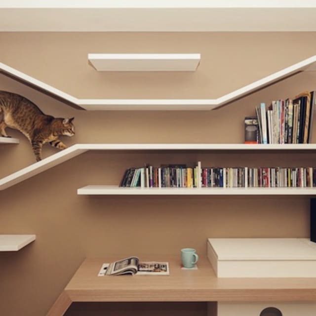A Living Room with Cat Friendly Builtins to Keep Your Furniture Safe