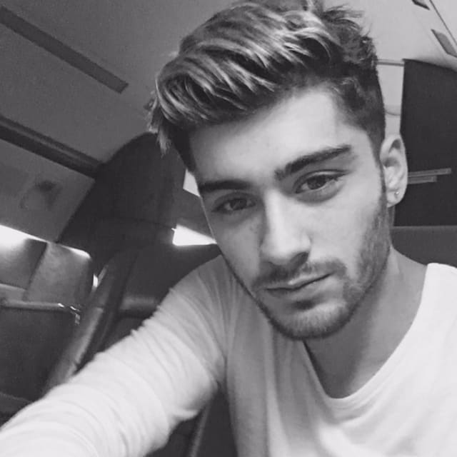 Zayn Malik's House Has An Enormous Backyard And Spots For Him To ...