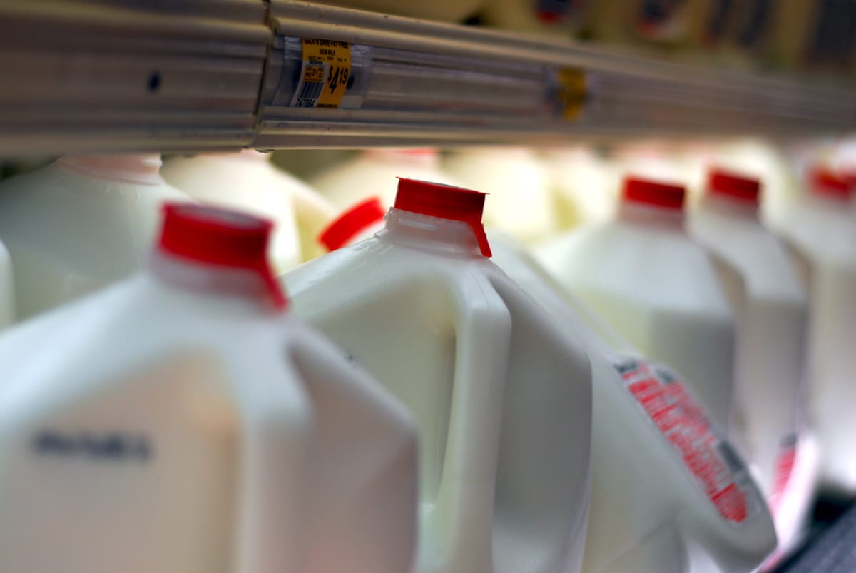 West Virginia Lawmakers Got Sick From Consuming Raw Milk After