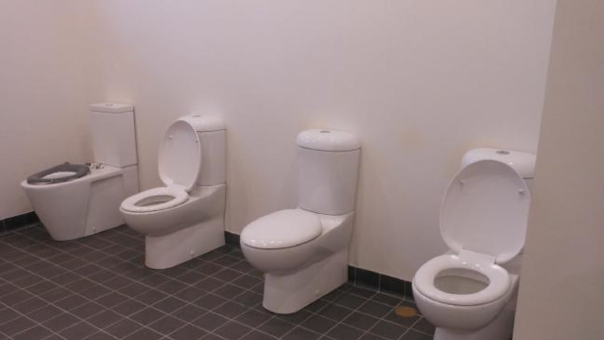 Are The Doorless Toilets in This QLD Suburb Bringing the Community