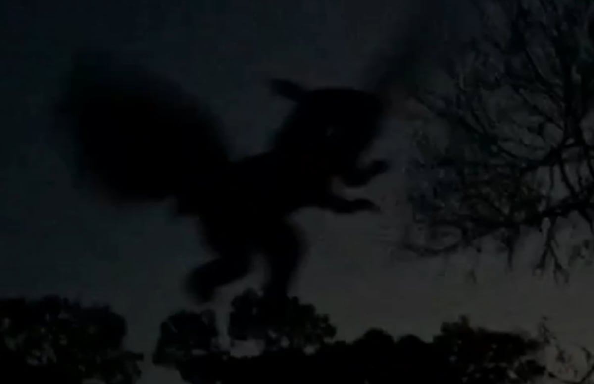 Jersey Devil Reportedly Spotted by Actual Person in New Jersey Complex