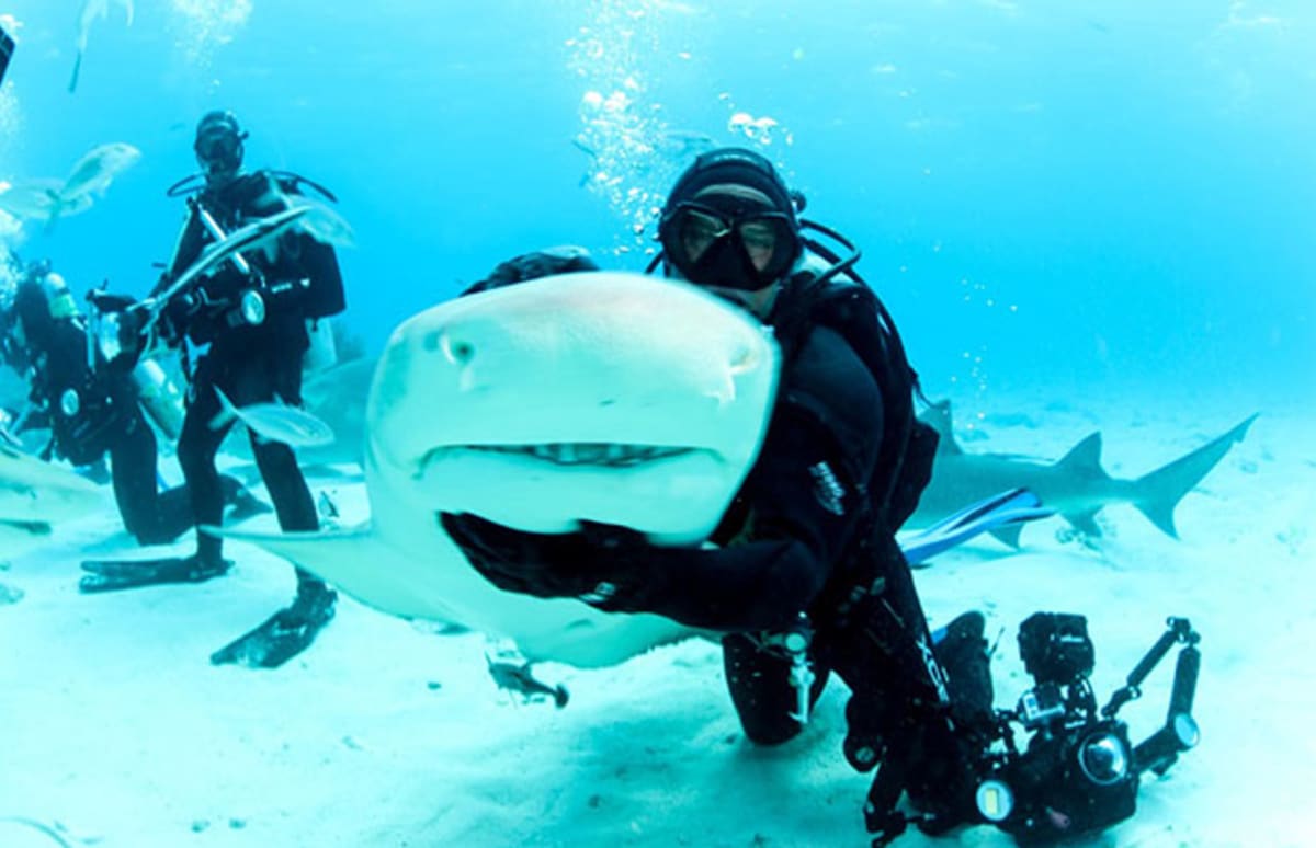 Man Goes on an Adventurous Scuba Diving Photo Shoot With Sharks Complex