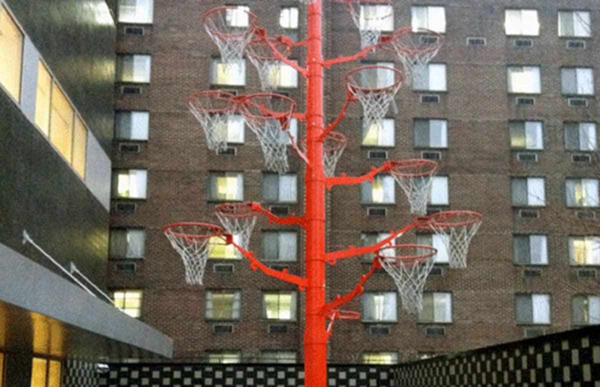 Look At This! Basketball Hoop Tree In The Bronx Complex