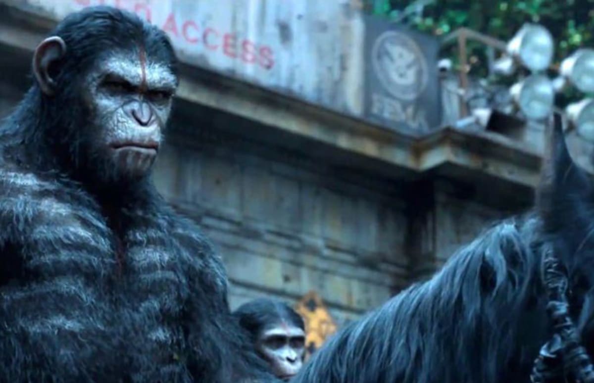 of the Apes" Went Ape Sh*t on the Box Office Complex